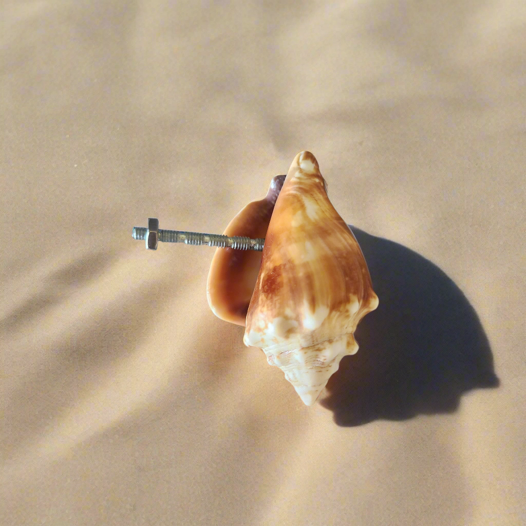 Florida Fighting Conch Shell Drawer Pull - Authentic Beach House Cabinet Pull