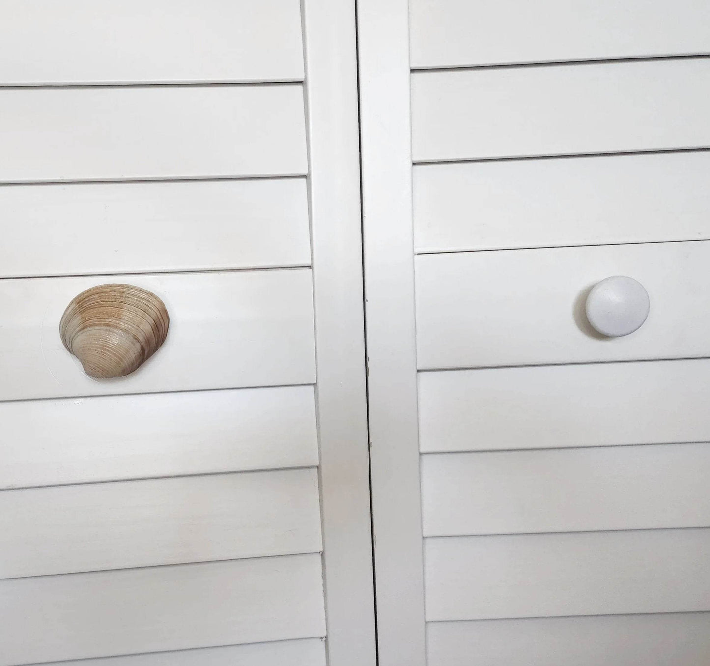 Clam Shell Cabinet Knobs & Drawer Pulls – Authentic Seashell Hardware for Beach, Coastal & Nautical Kitchens & Bathrooms