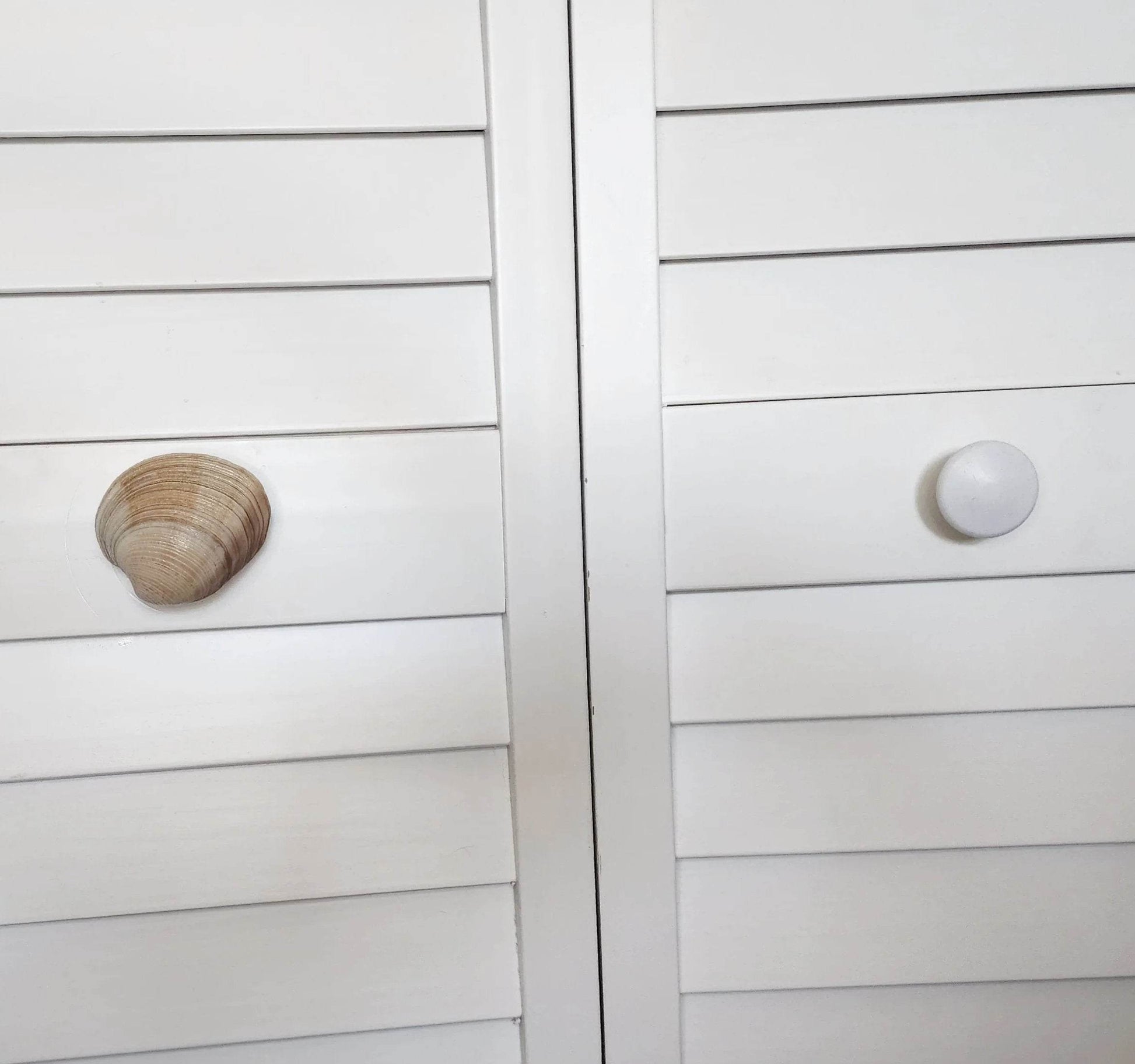 Clam Shell Cabinet Knobs & Drawer Pulls – Authentic Seashell Hardware for Beach, Coastal & Nautical Kitchens & Bathrooms