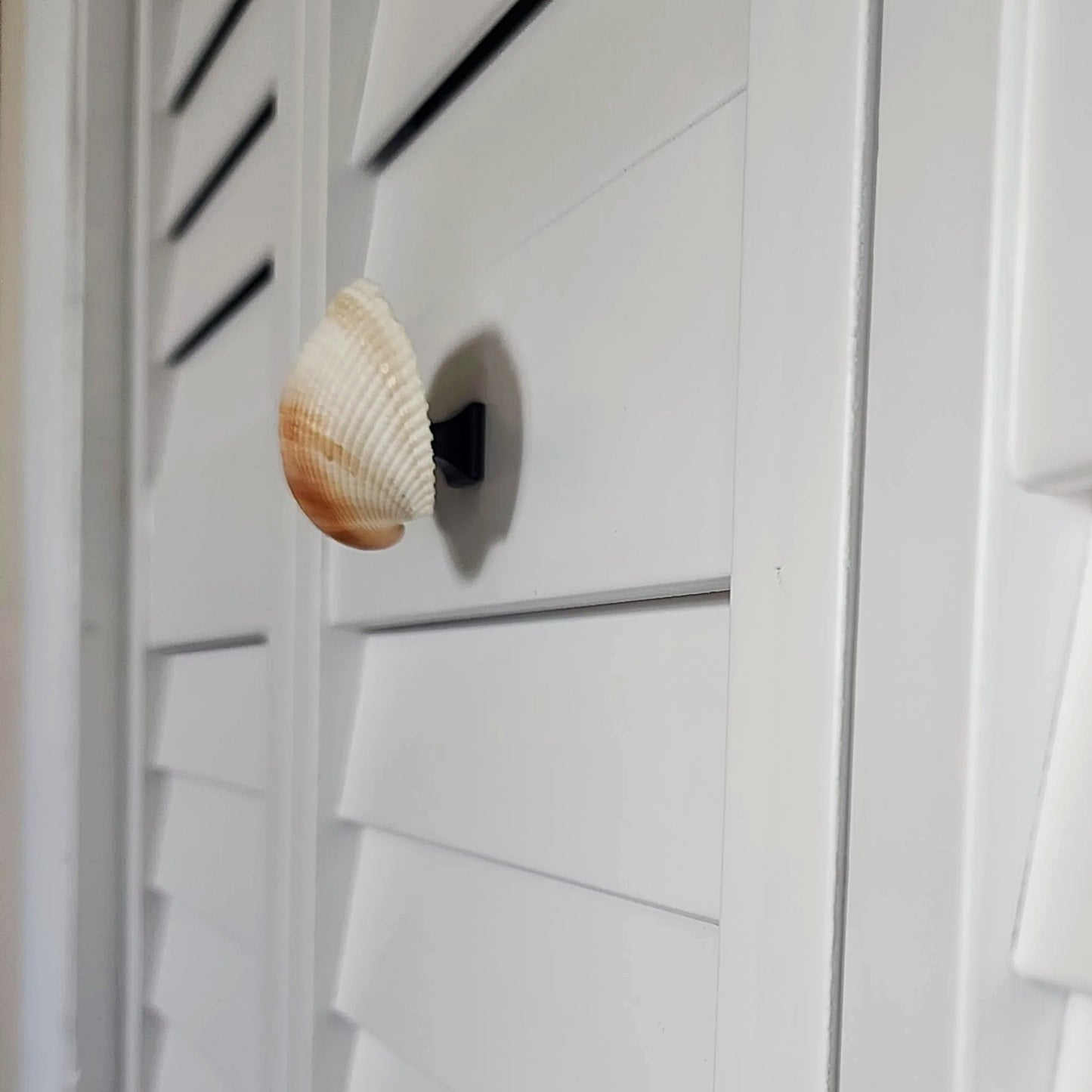Coastal Cockle Seashell Cabinet Knobs - Beach House Drawer Pulls Hardware Set