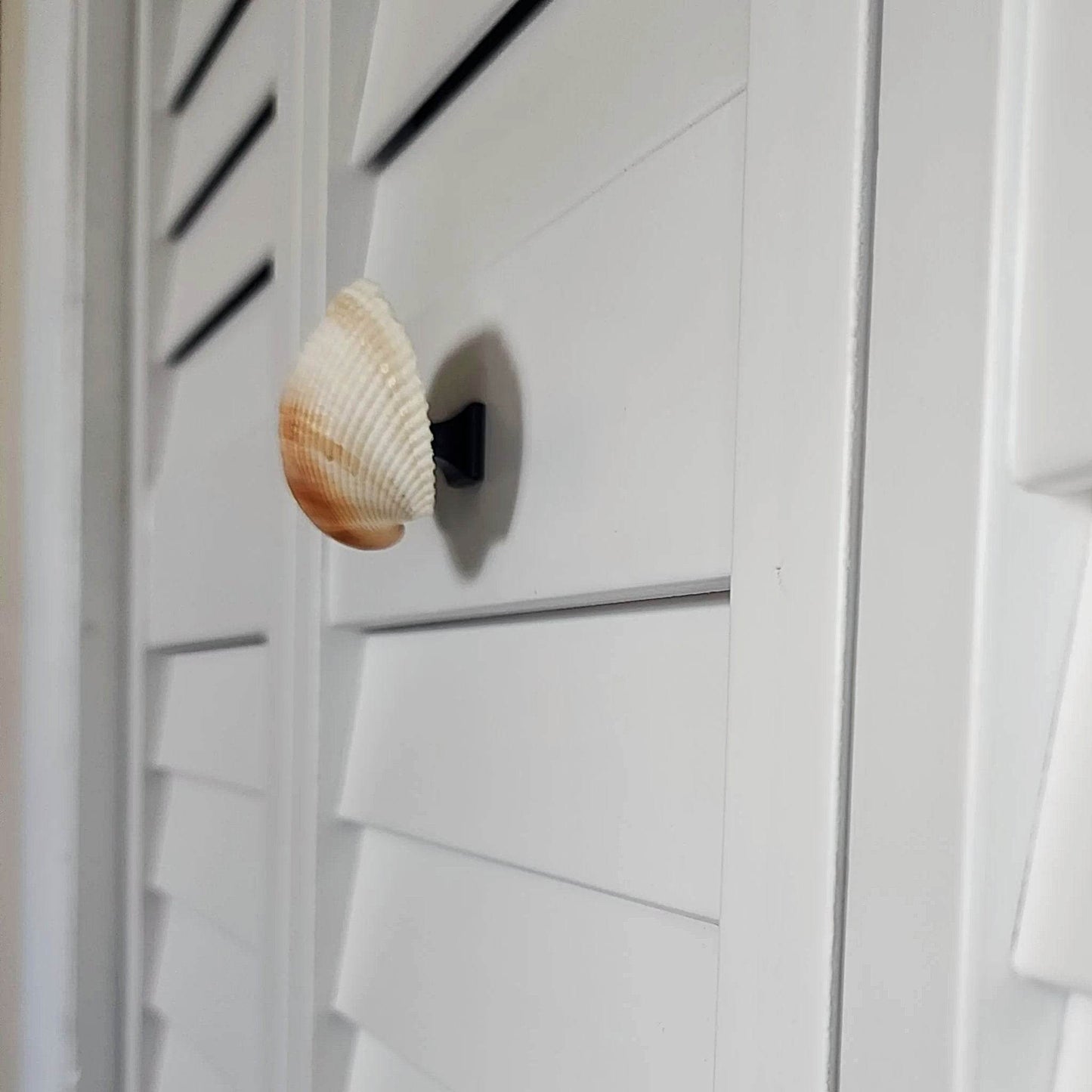 Coastal Cockle Seashell Cabinet Knobs - Beach House Drawer Pulls Hardware Set