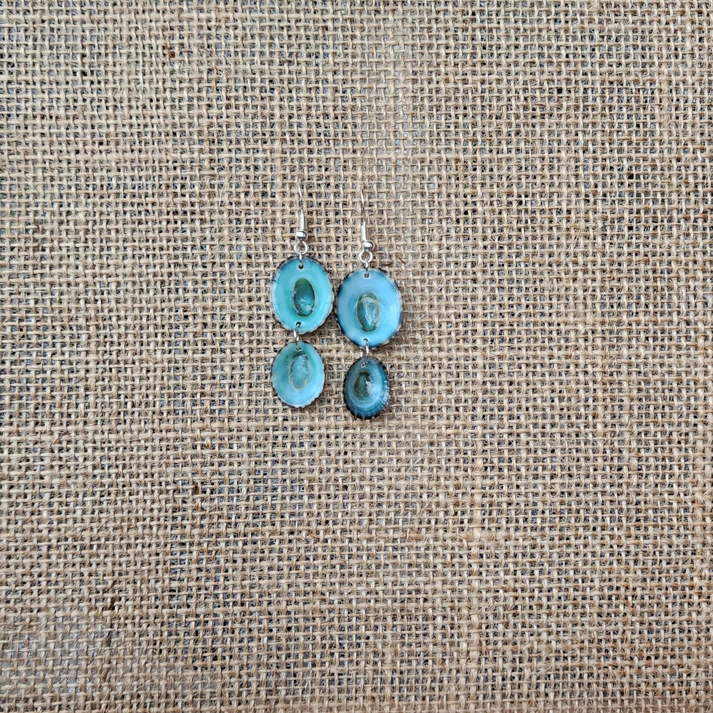 Handmade Green Limpet Shell Earrings in Sterling Silver – Coastal-Inspired Jewelry