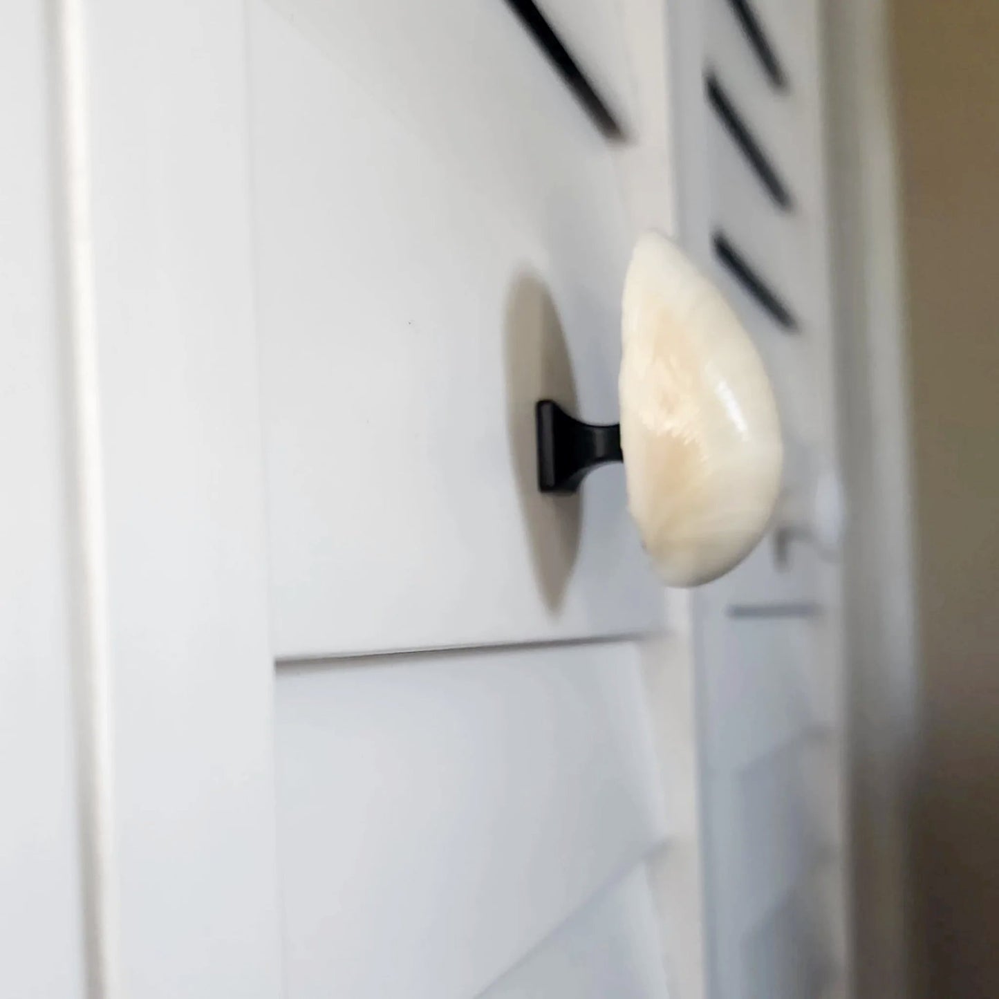 Clam Shell Cabinet Knobs & Drawer Pulls – Authentic Seashell Hardware for Beach, Coastal & Nautical Kitchens & Bathrooms