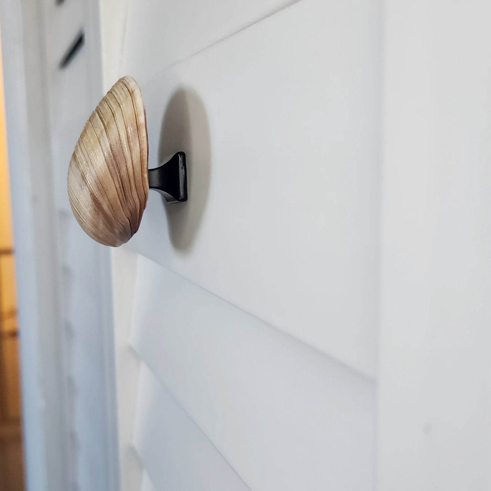 Clam Shell Cabinet Knobs & Drawer Pulls – Authentic Seashell Hardware for Beach, Coastal & Nautical Kitchens & Bathrooms