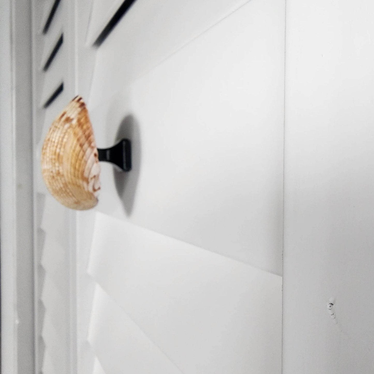 Coastal Cockle Seashell Cabinet Knobs - Beach House Drawer Pulls Hardware Set