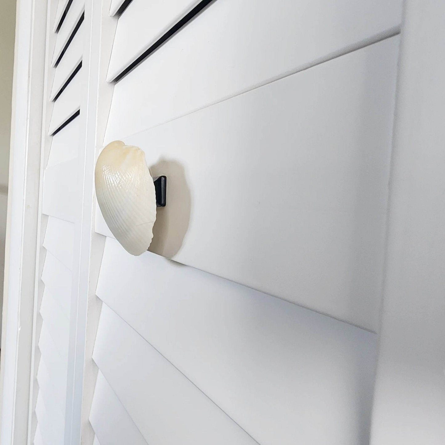 Clam Shell Cabinet Knobs & Drawer Pulls – Authentic Seashell Hardware for Beach, Coastal & Nautical Kitchens & Bathrooms