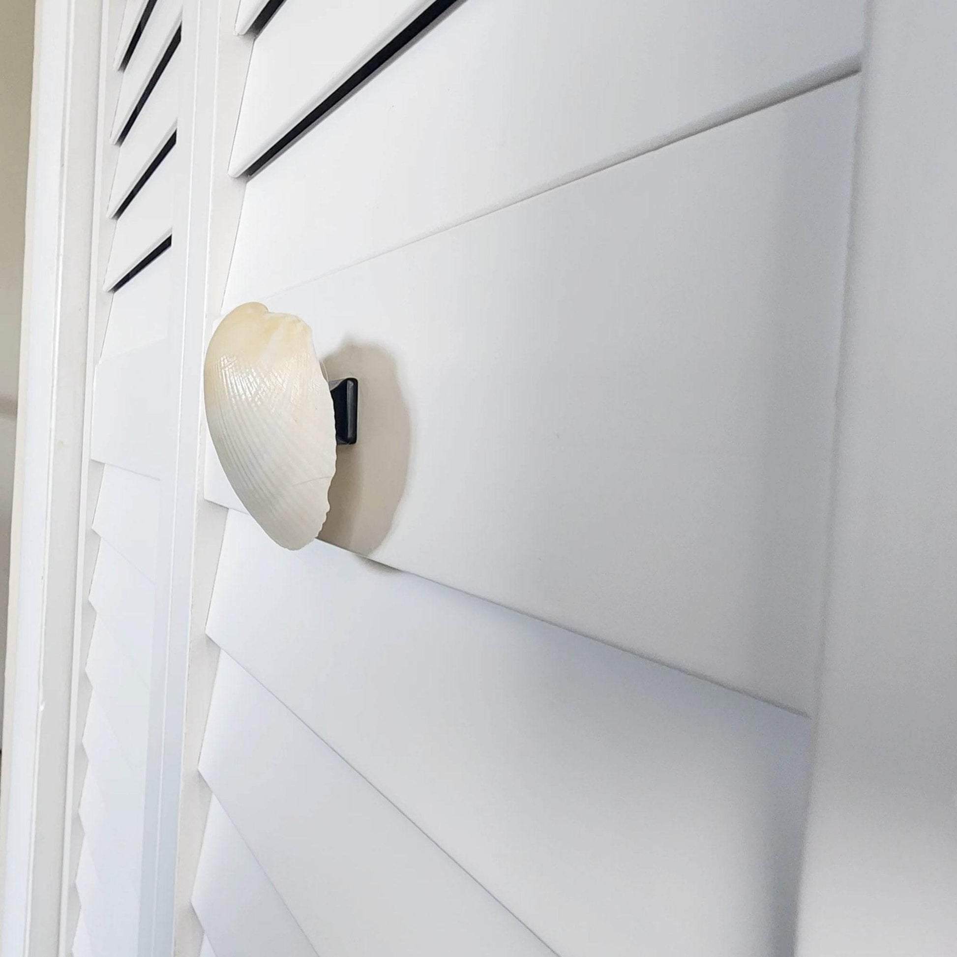Clam Shell Cabinet Knobs & Drawer Pulls – Authentic Seashell Hardware for Beach, Coastal & Nautical Kitchens & Bathrooms