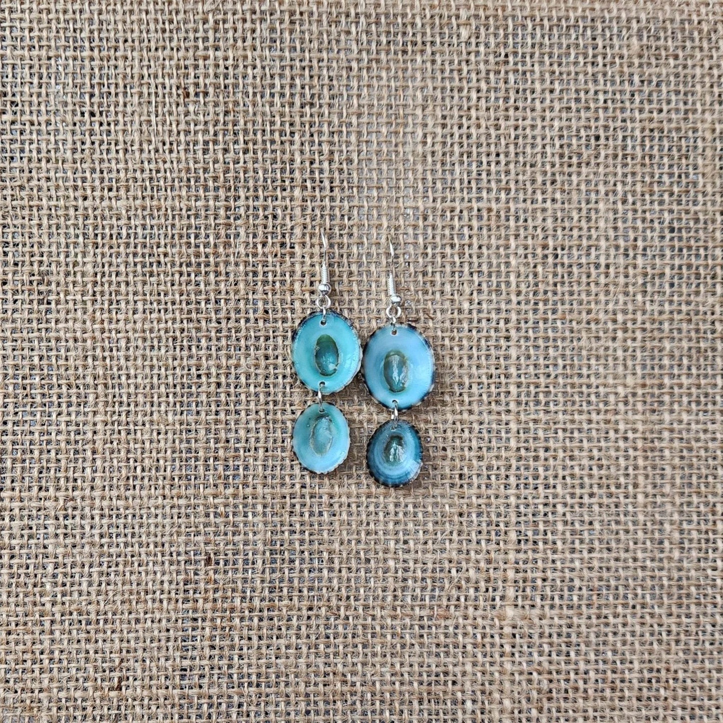Handmade Green Limpet Shell Earrings in Sterling Silver โ Coastal-Inspired Jewelry