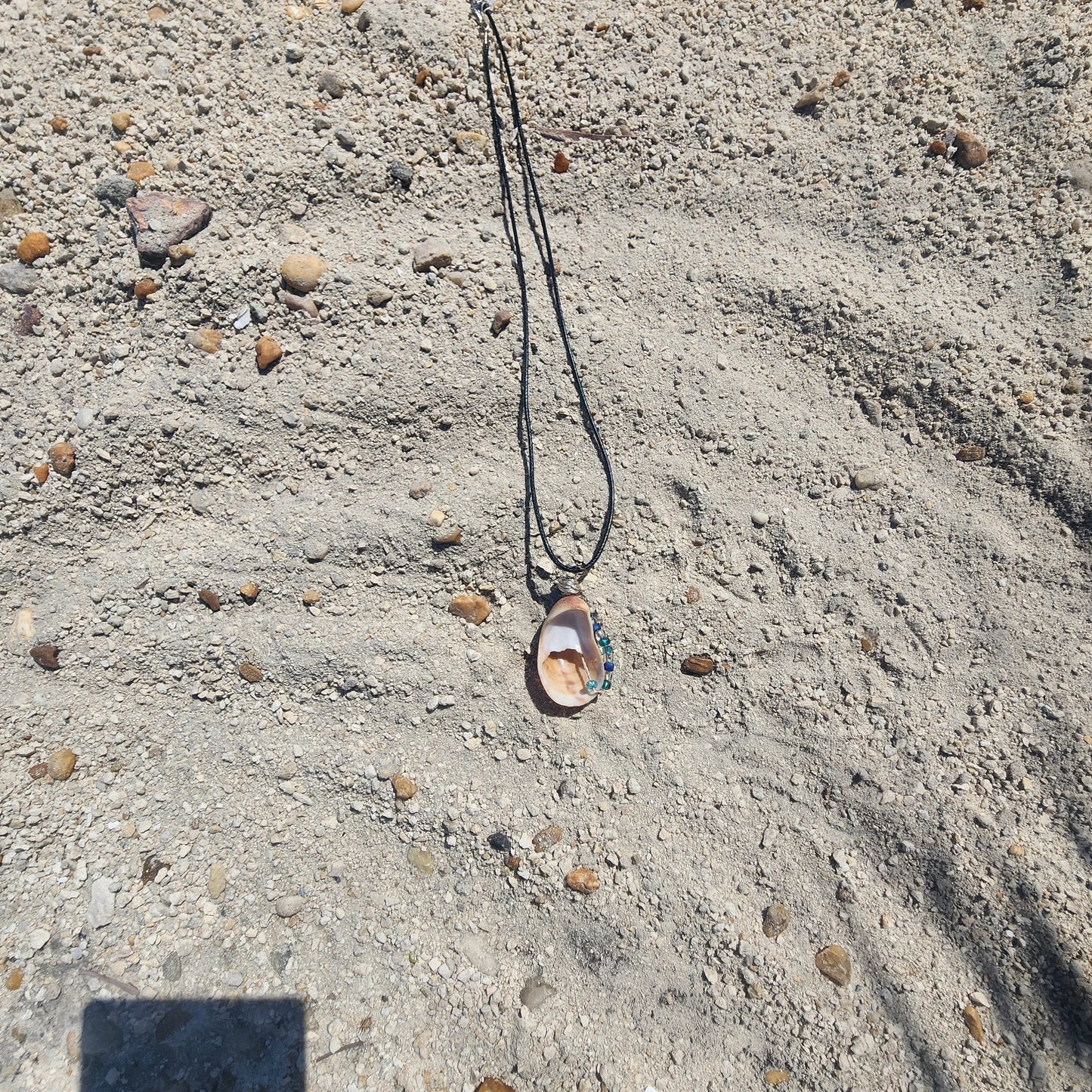 Handmade common atlantic seashell pendant necklace backside with silver wire wrap and blue green beads