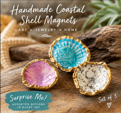 Handmade Coastal Seashell Magnets - Set of 3