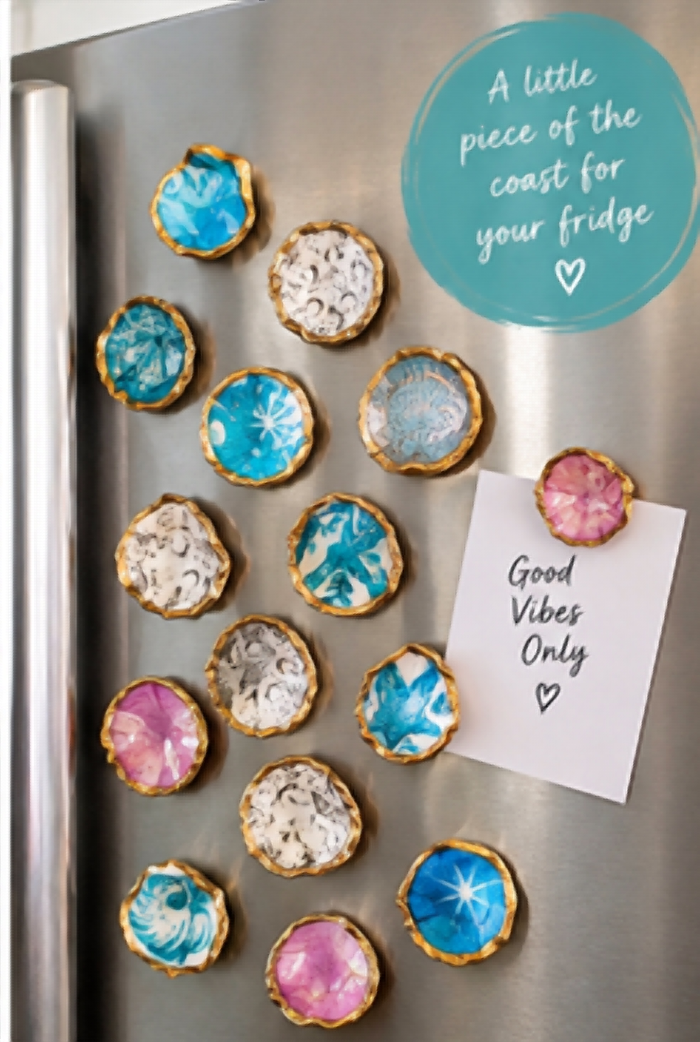 Seashell fridge magnets displayed on a stainless steel refrigerator, twelve assorted gold-edged shell magnets in coastal colors and patterns