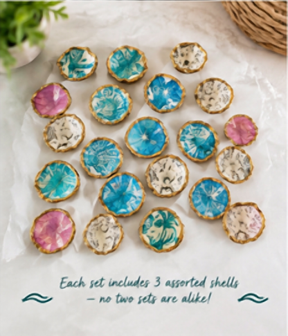 Flat lay of handmade seashell magnets showing assorted decoupage patterns and colors, each set of 3 uniquely assorted