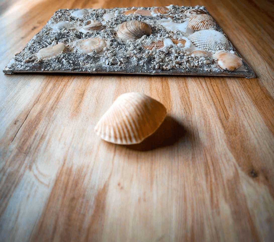 Premium 3D Shell Canvas Art - Handmade Coastal Boho Wall Decor - Textured Art 🐚