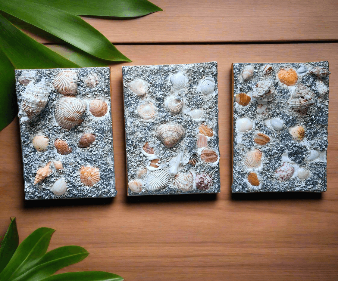 Premium 3D Shell Canvas Art - Handmade Coastal Boho Wall Decor - Textured Art 🐚