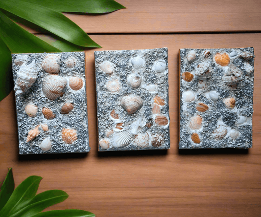 Premium 3D Shell Canvas Art - Handmade Coastal Boho Wall Decor - Textured Art 🐚