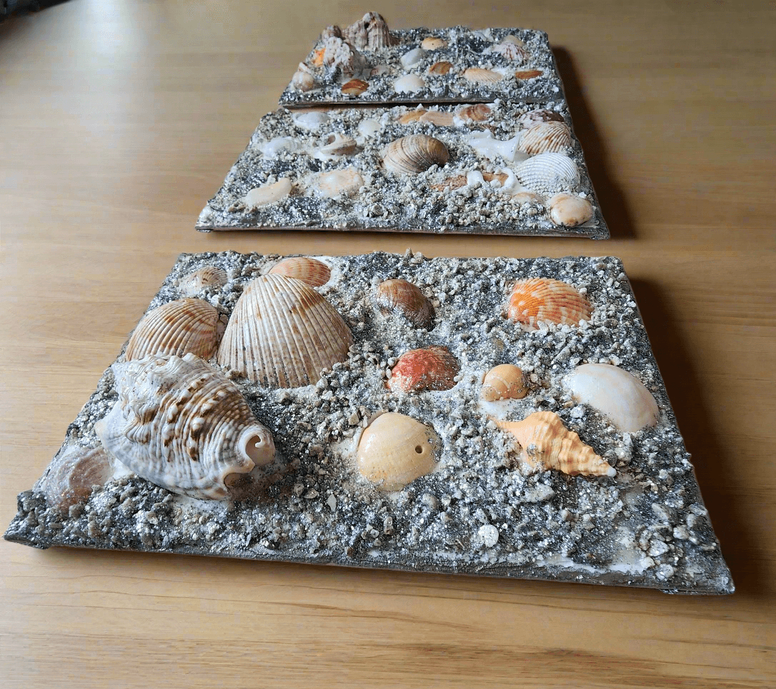 Premium 3D Shell Canvas Art - Handmade Coastal Boho Wall Decor - Textured Art 🐚