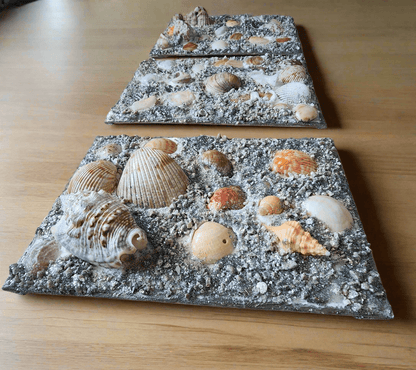 Premium 3D Shell Canvas Art - Handmade Coastal Boho Wall Decor - Textured Art 🐚