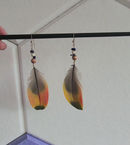 Coastal Feather Earrings, Real Feather Boho Dangles