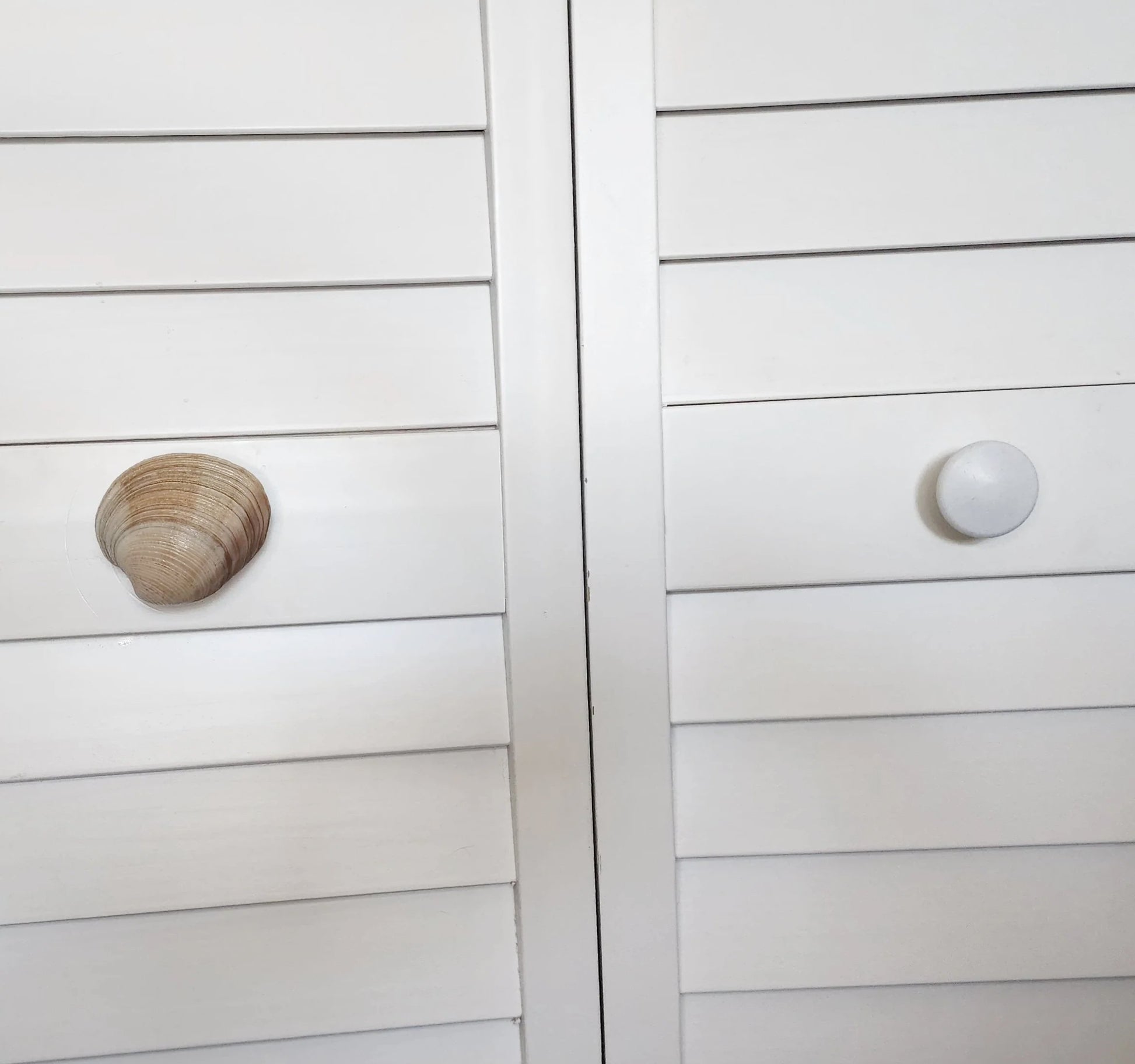 Clam Shell Cabinet Knobs & Drawer Pulls – Authentic Seashell Hardware for Beach, Coastal & Nautical Kitchens & Bathrooms