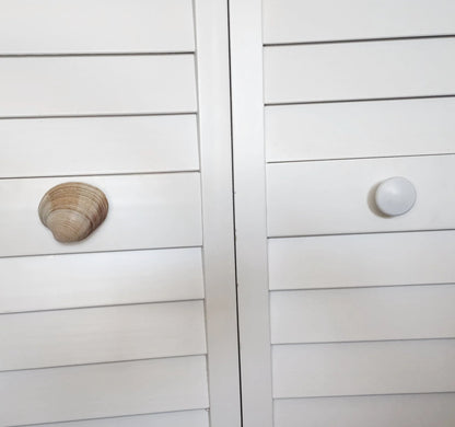 Clam Shell Cabinet Knobs & Drawer Pulls – Authentic Seashell Hardware for Beach, Coastal & Nautical Kitchens & Bathrooms