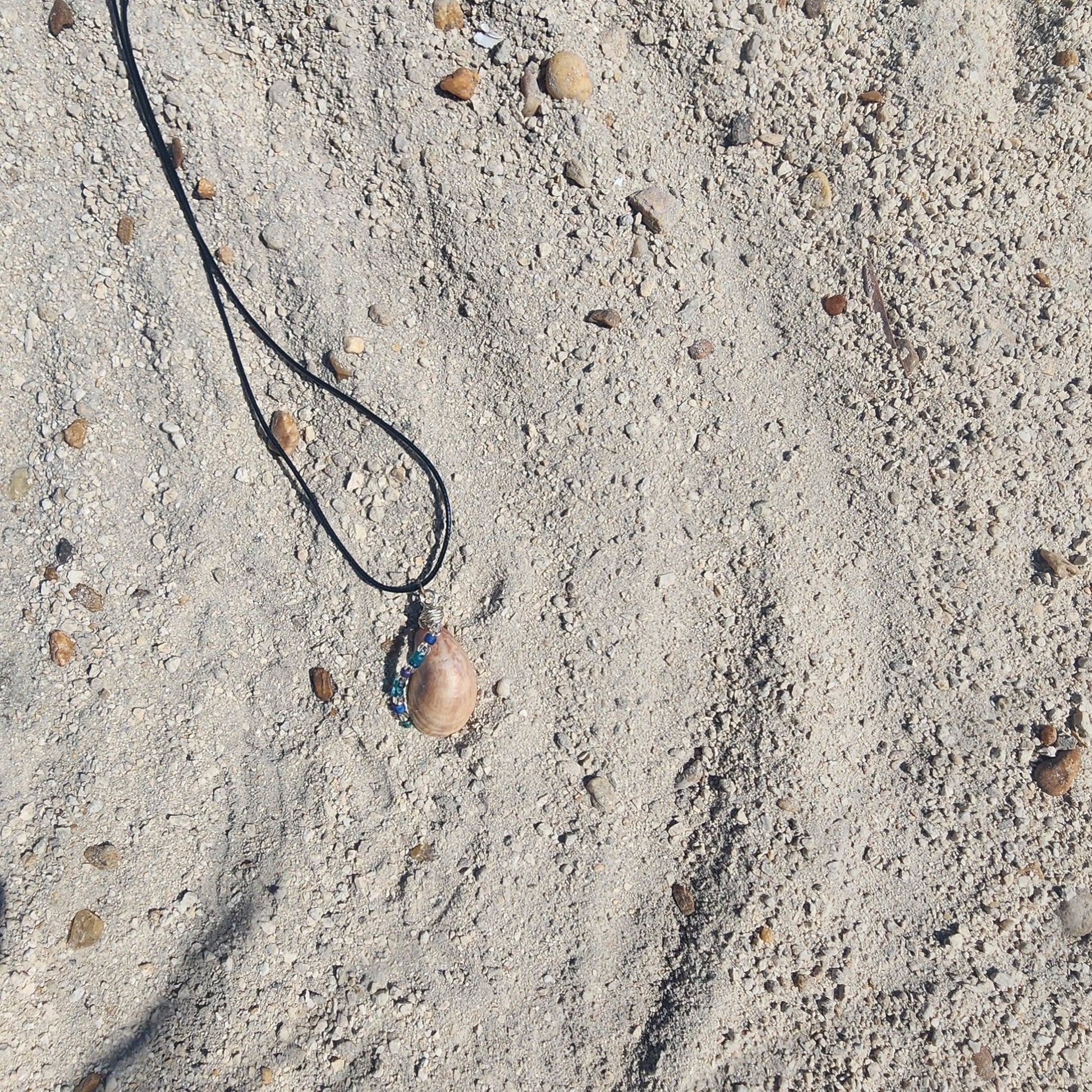 Handmade seashell pendant necklace frontside with silver wire wrap and blue green beads
