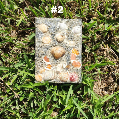 Premium 3D Shell Canvas Art - Handmade Coastal Boho Wall Decor - Textured Art 🐚