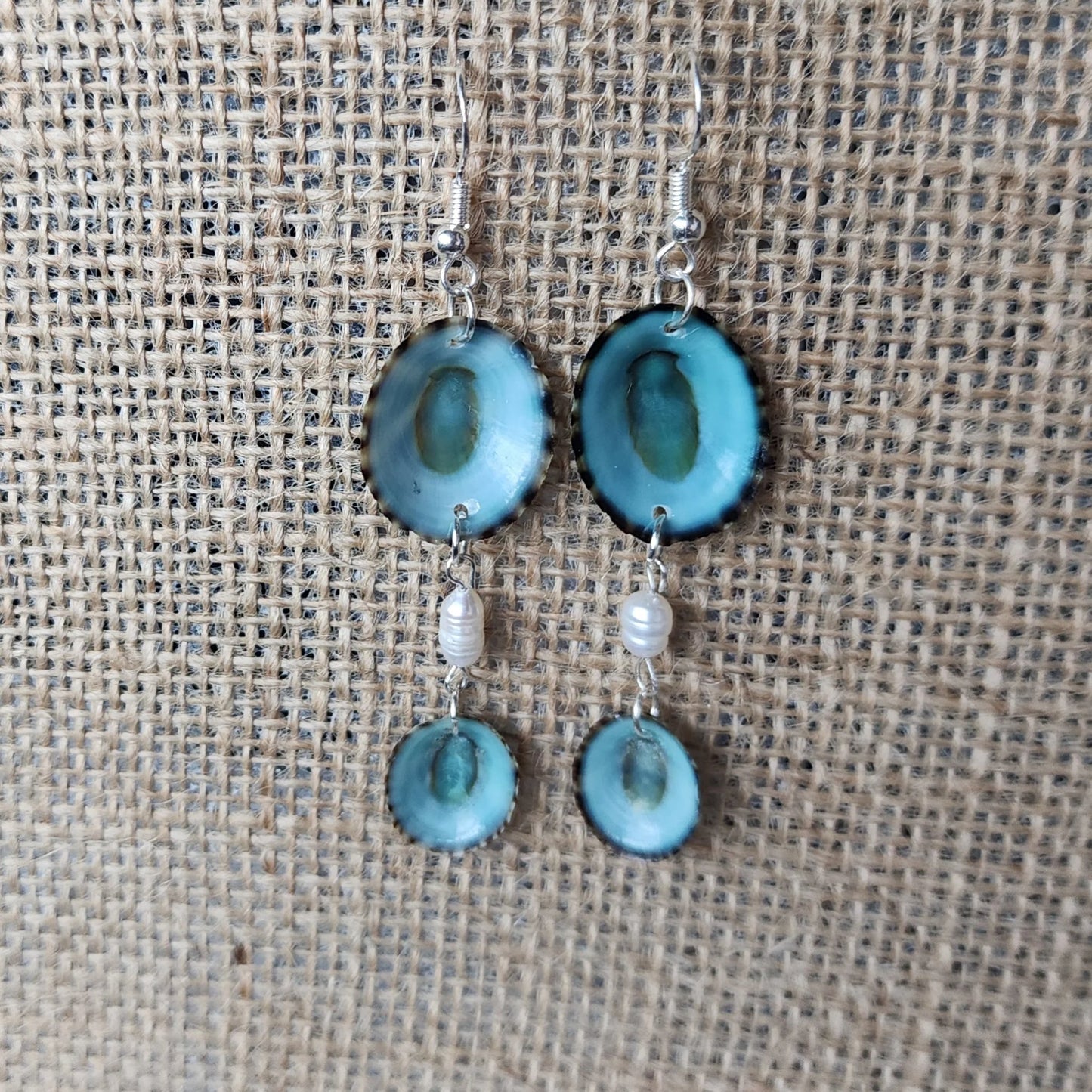 Handmade Green Limpet Shell Earrings in Sterling Silver – Coastal-Inspired Jewelry