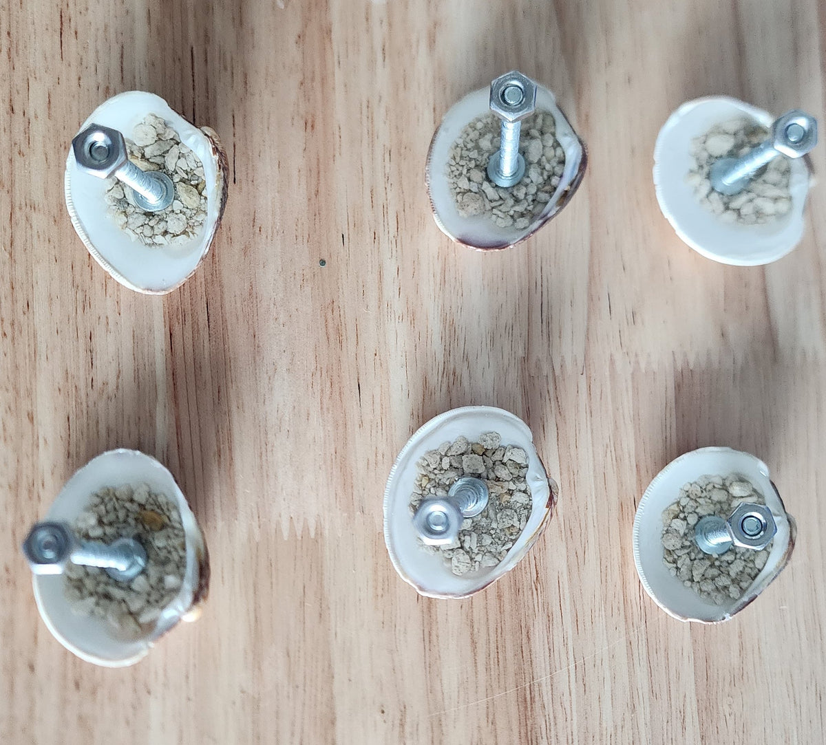 Back of small clam shell drawer pulls showing sand and bolt with hexnut for mounting on bifold doors and drawers