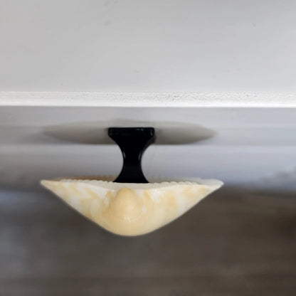 Clam Shell Cabinet Knobs & Drawer Pulls – Authentic Seashell Hardware for Beach, Coastal & Nautical Kitchens & Bathrooms