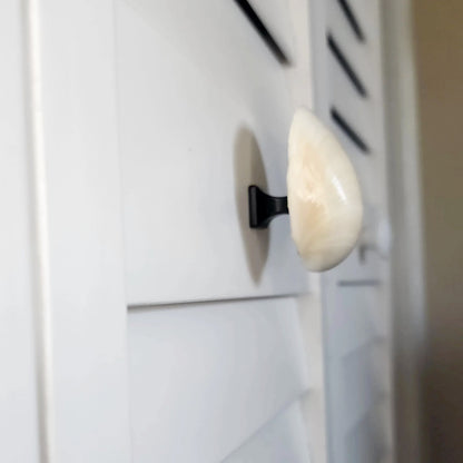 Clam Shell Cabinet Knobs & Drawer Pulls – Authentic Seashell Hardware for Beach, Coastal & Nautical Kitchens & Bathrooms
