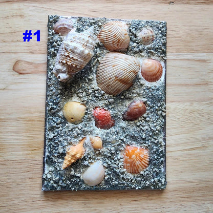 Premium 3D Shell Canvas Art - Handmade Coastal Boho Wall Decor - Textured Art 🐚