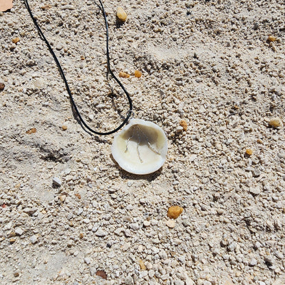 White Lucina shell pendant necklace with silver wire wrap and multicolor bead strands