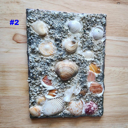 Premium 3D Shell Canvas Art - Handmade Coastal Boho Wall Decor - Textured Art 🐚