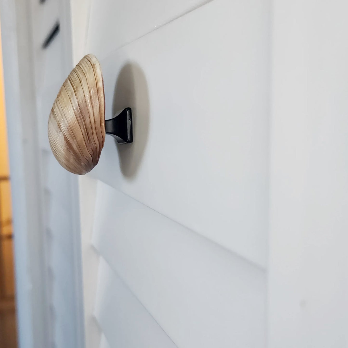 Clam Shell Cabinet Knobs & Drawer Pulls – Authentic Seashell Hardware for Beach, Coastal & Nautical Kitchens & Bathrooms