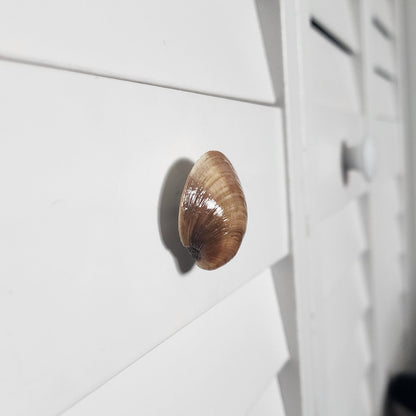 Side view of small clam shell knob on bifold door showing how far the shell sits from the door