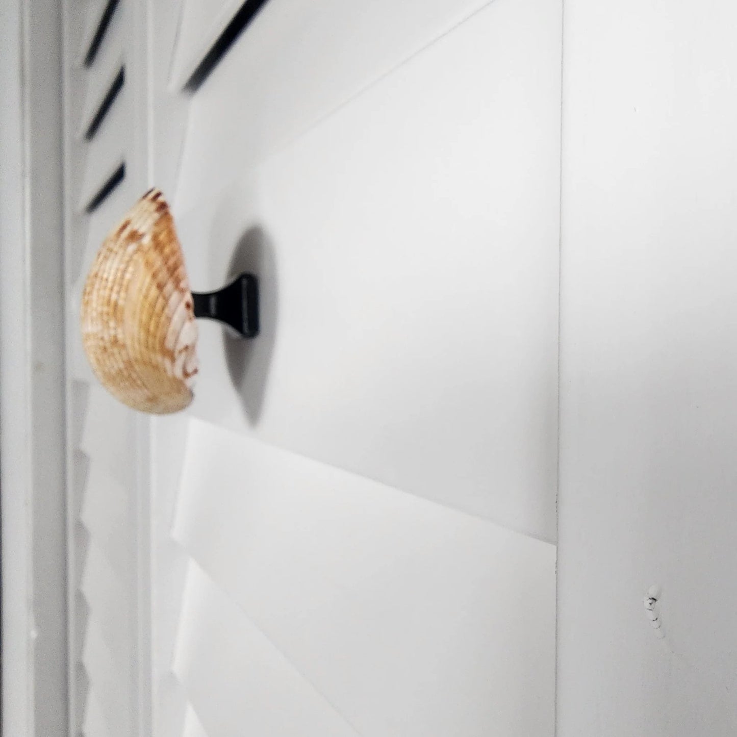 Coastal Cockle Seashell Cabinet Knobs - Beach House Drawer Pulls Hardware Set