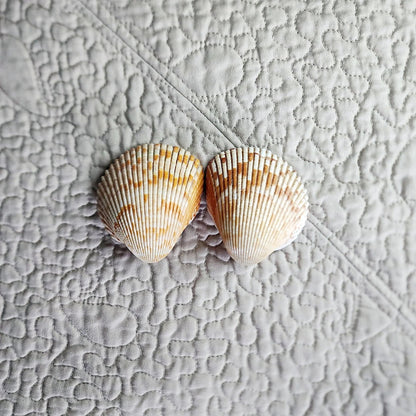 Cockle Shell Drawer Pulls Set of 2 - Beach House Cabinet Knobs with Black Metal - Coastal Hardware Pair