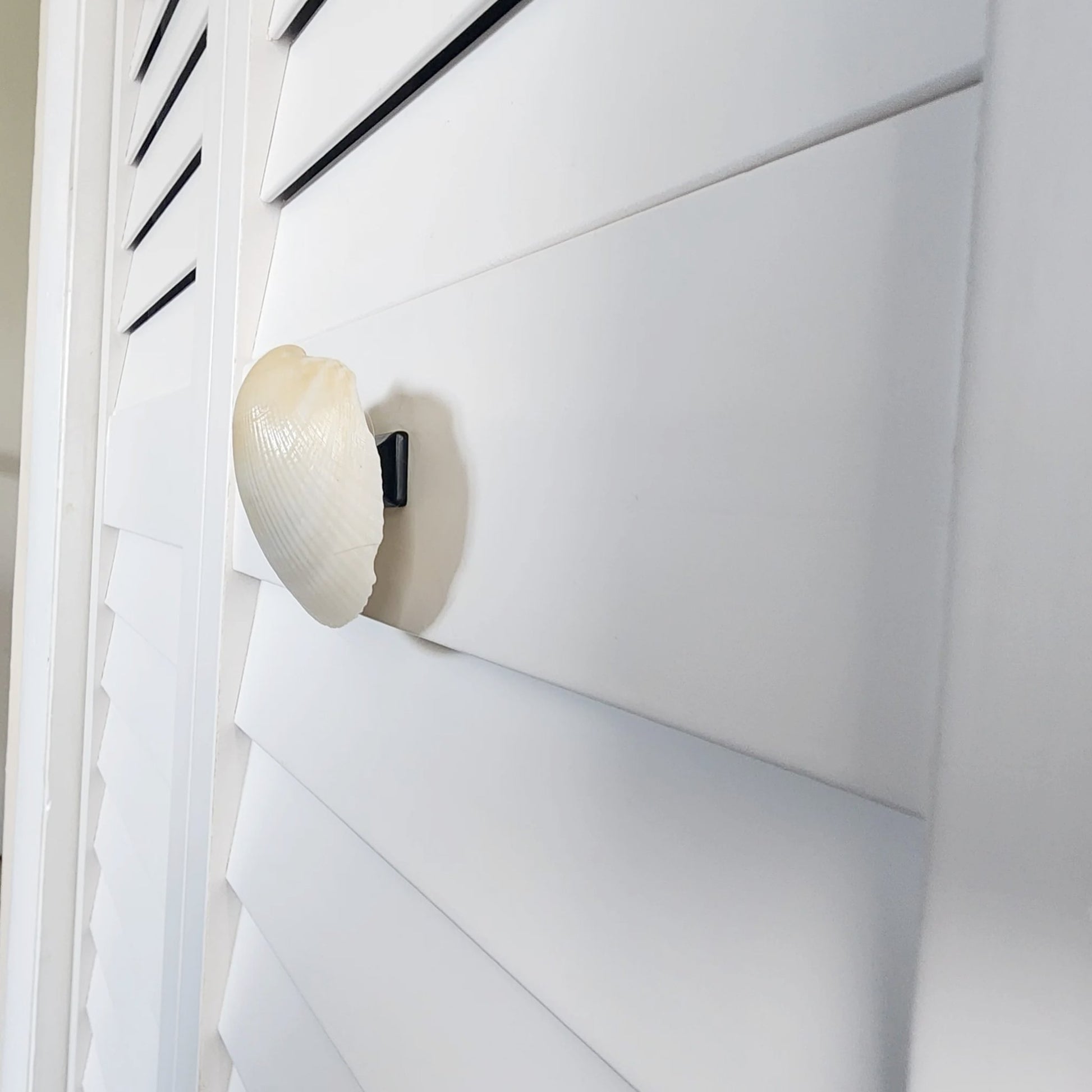 Clam Shell Cabinet Knobs & Drawer Pulls – Authentic Seashell Hardware for Beach, Coastal & Nautical Kitchens & Bathrooms