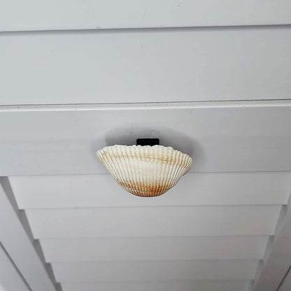 Coastal Cockle Seashell Cabinet Knobs - Beach House Drawer Pulls Hardware Set