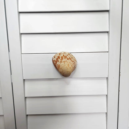 Cockle Shell Drawer Pulls Set of 2 - Beach House Cabinet Knobs with Black Metal - Coastal Hardware Pair
