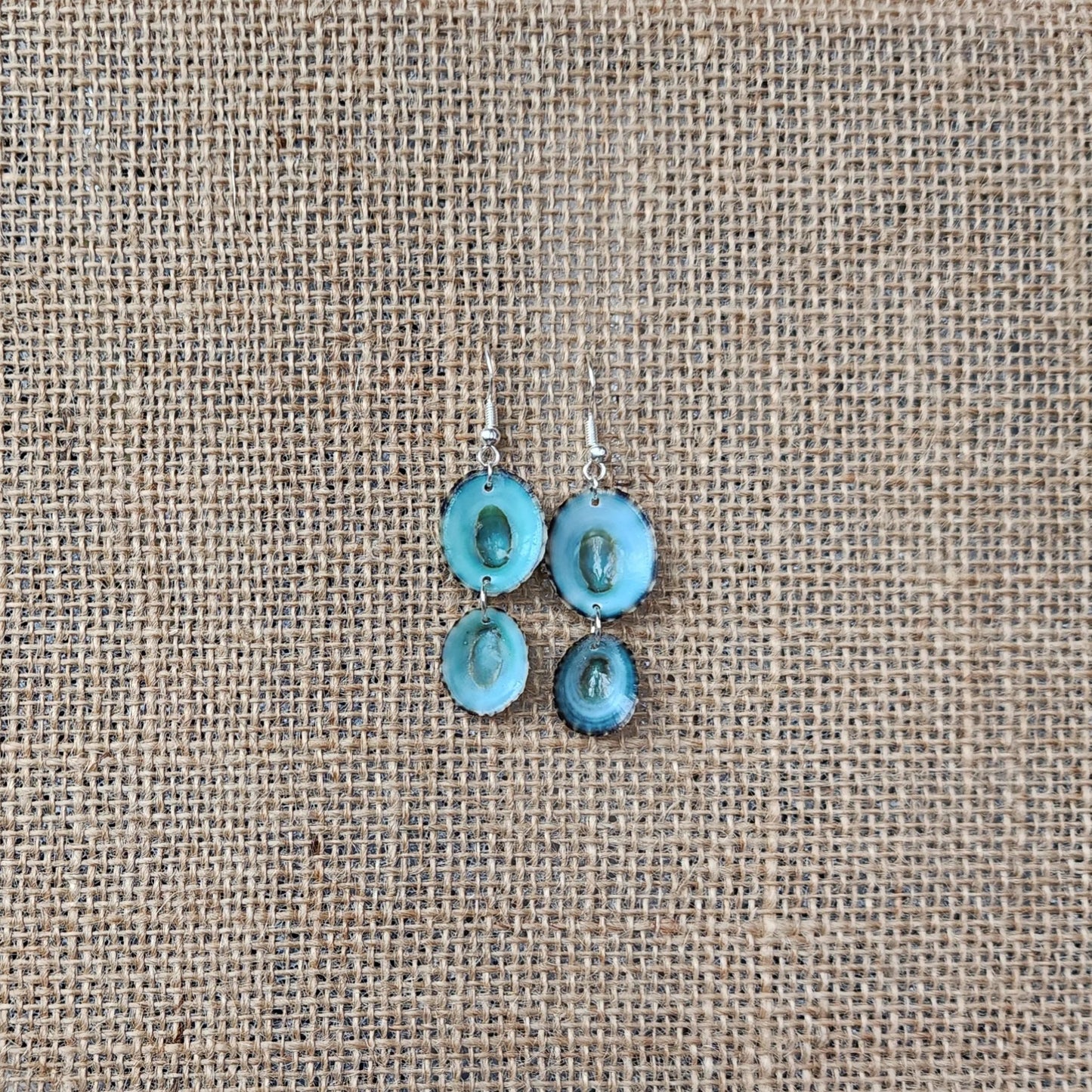 Handmade Green Limpet Shell Earrings in Sterling Silver – Coastal-Inspired Jewelry