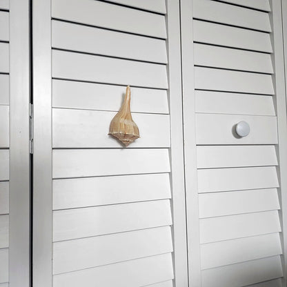 Natural Seashell Drawer Pull – Florida Lightning Whelk