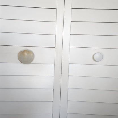 Clam Shell Cabinet Knobs & Drawer Pulls – Authentic Seashell Hardware for Beach, Coastal & Nautical Kitchens & Bathrooms