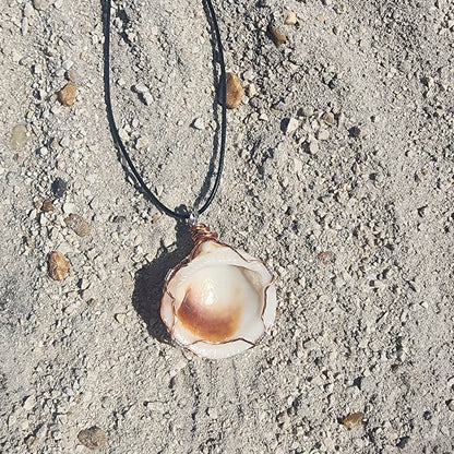 American Bittersweet Shell pendant necklace with fish charm and wire wrap on cord