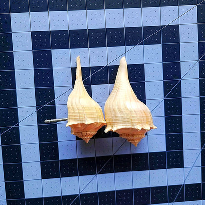 Natural Seashell Drawer Pull – Florida Lightning Whelk