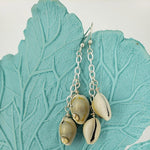 Cowrie Shell Ear Rings With Swarovski Crystals