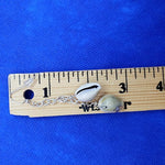 Cowrie Shell Ear Rings With Swarovski Crystals - South Florida Boho Boutique
