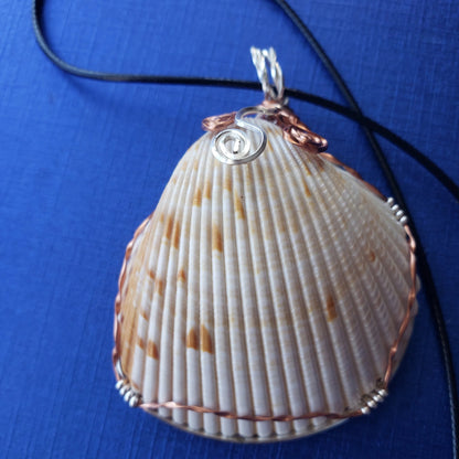 Natural Cockle Shell Pendant Copper/Silver Color Wire Wrapped And Encased-Beach Boho