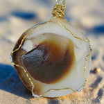American Bittersweet Clam Pendant-White/Brown Colored-Turquoise-Gold Seashell Charm-Wire Wrapped-Beach Boho - South Florida Boho Boutique