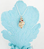 Apple Murex Shell Pendant-Wire Wrapped-Beach Boho-USA - South Florida Boho Boutique